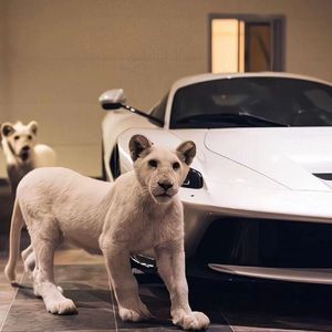 杨颖做爰高潮AI换脸
